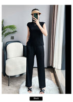Pleated Summer Clothes Two-piece Suit Top Wide Leg Pants Suit Women